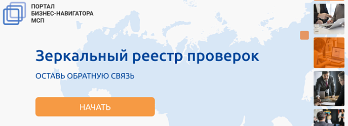 Зеркальный реестр проверок